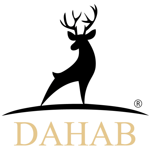 DAHAB SHOES
